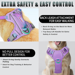 BARKBAY anneau frontal visible réduit traction et facilite dressage