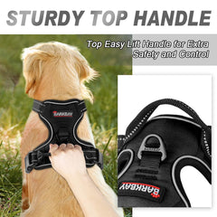 BARKBAY détail attache poitrine pour contrôle anti-traction efficace