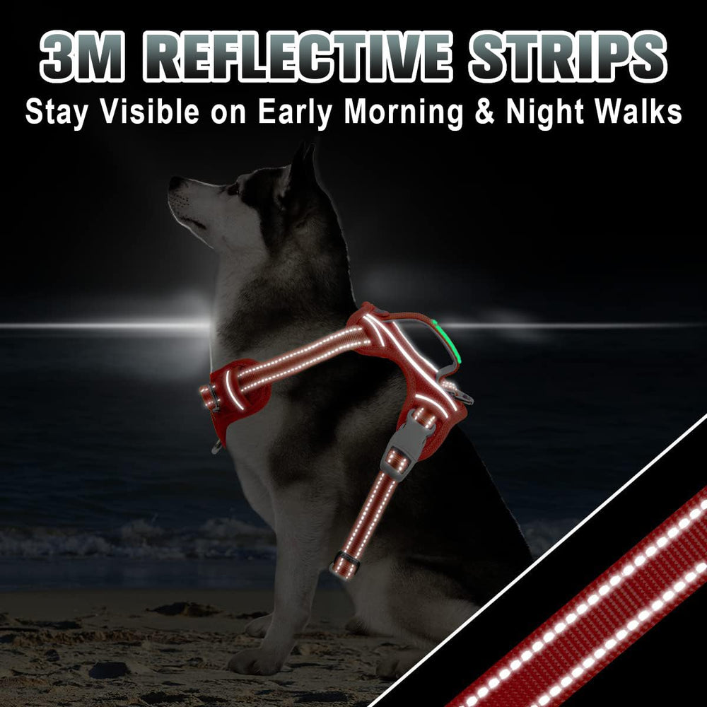 BARKBAY bandes réfléchissantes augmentant visibilité nocturne