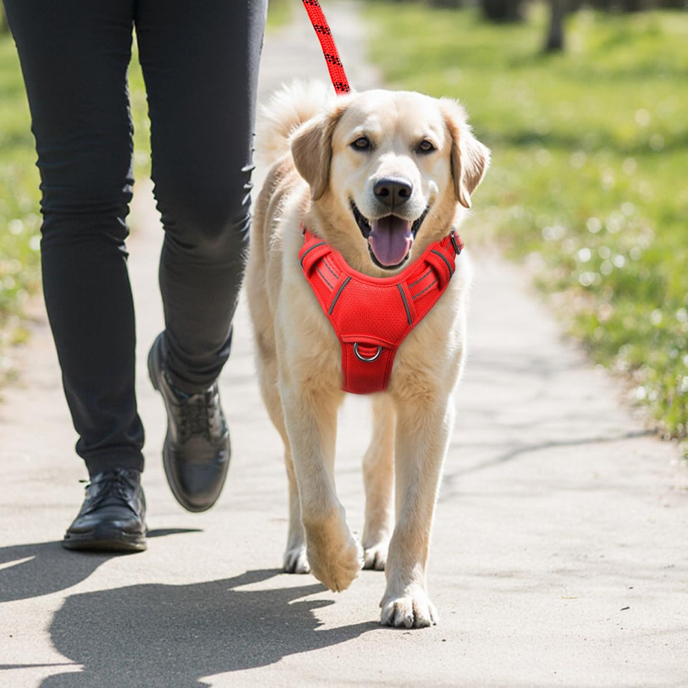 BARKBAY harnais à côté d'un mètre pour comparaison taille