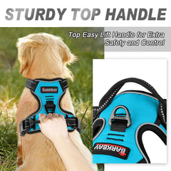 BARKBAY harnais gros plan mousse rembourrée pour confort