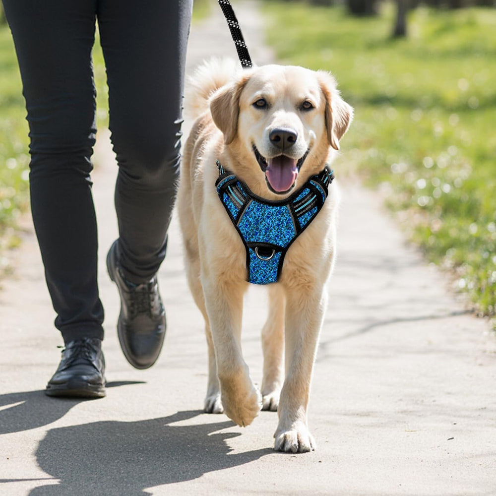 BARKBAY harnais comparaison de tailles, guide visuel pour choisir
