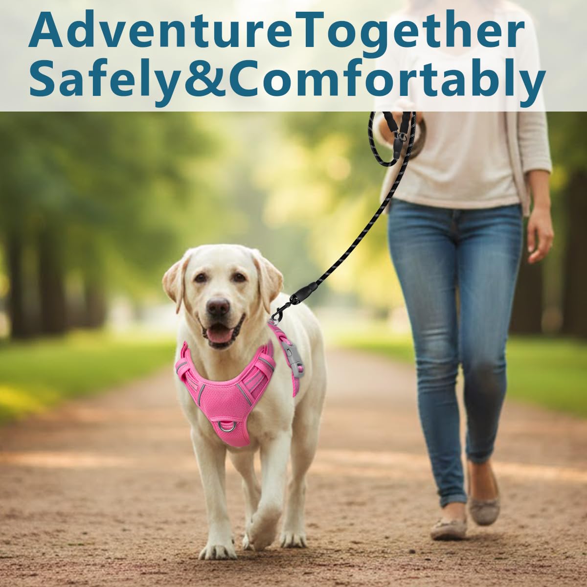 BARKBAY guide de taille montrant échelle et correspondance M