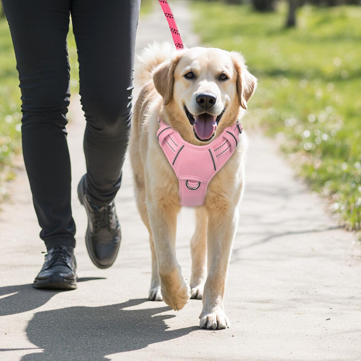 BARKBAY harnais emballage contenant guide d'utilisation et accessoires