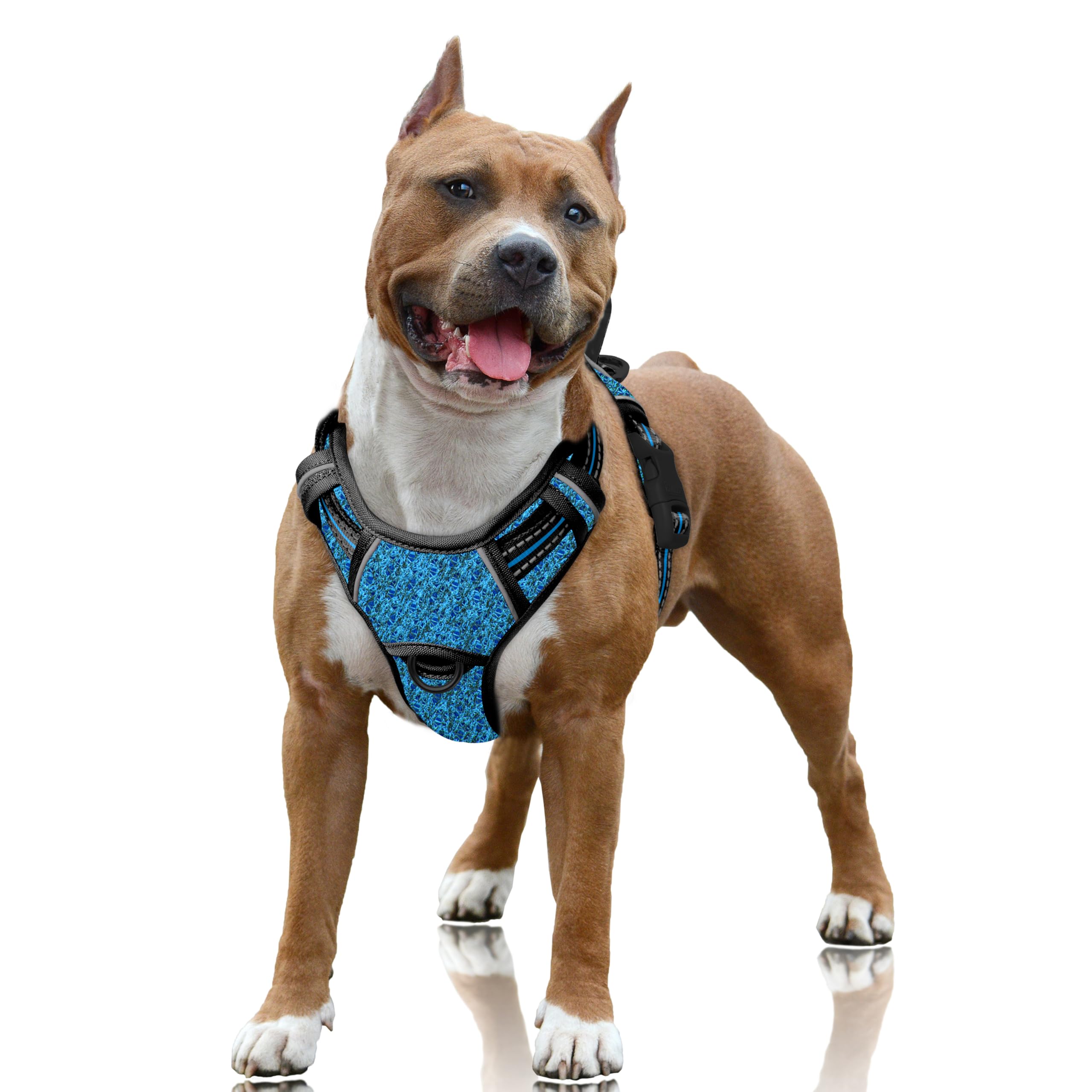 BARKBAY harnais avant visible, maintien sécurisé pour promenades