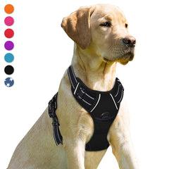 BARKBAY harnais face avant montrant le gilet et sa coupe confortable