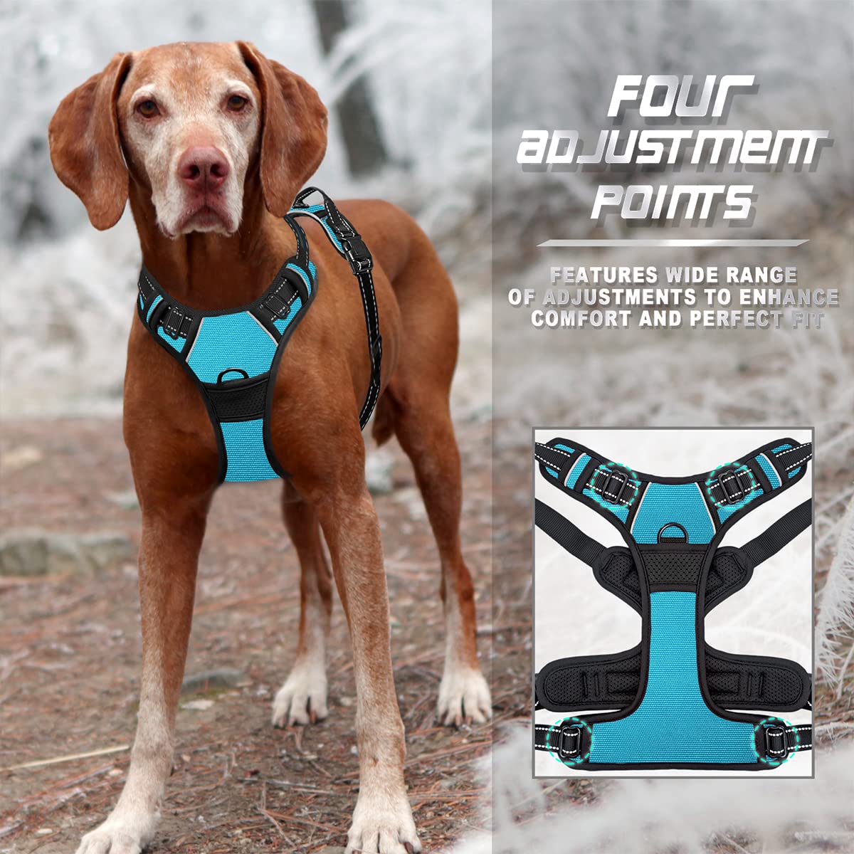 BARKBAY harnais comparaison taille pour grands chiens pratique