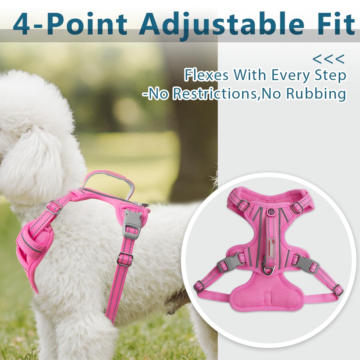 BARKBAY harnais porté sur grand chien, comparaison de taille
