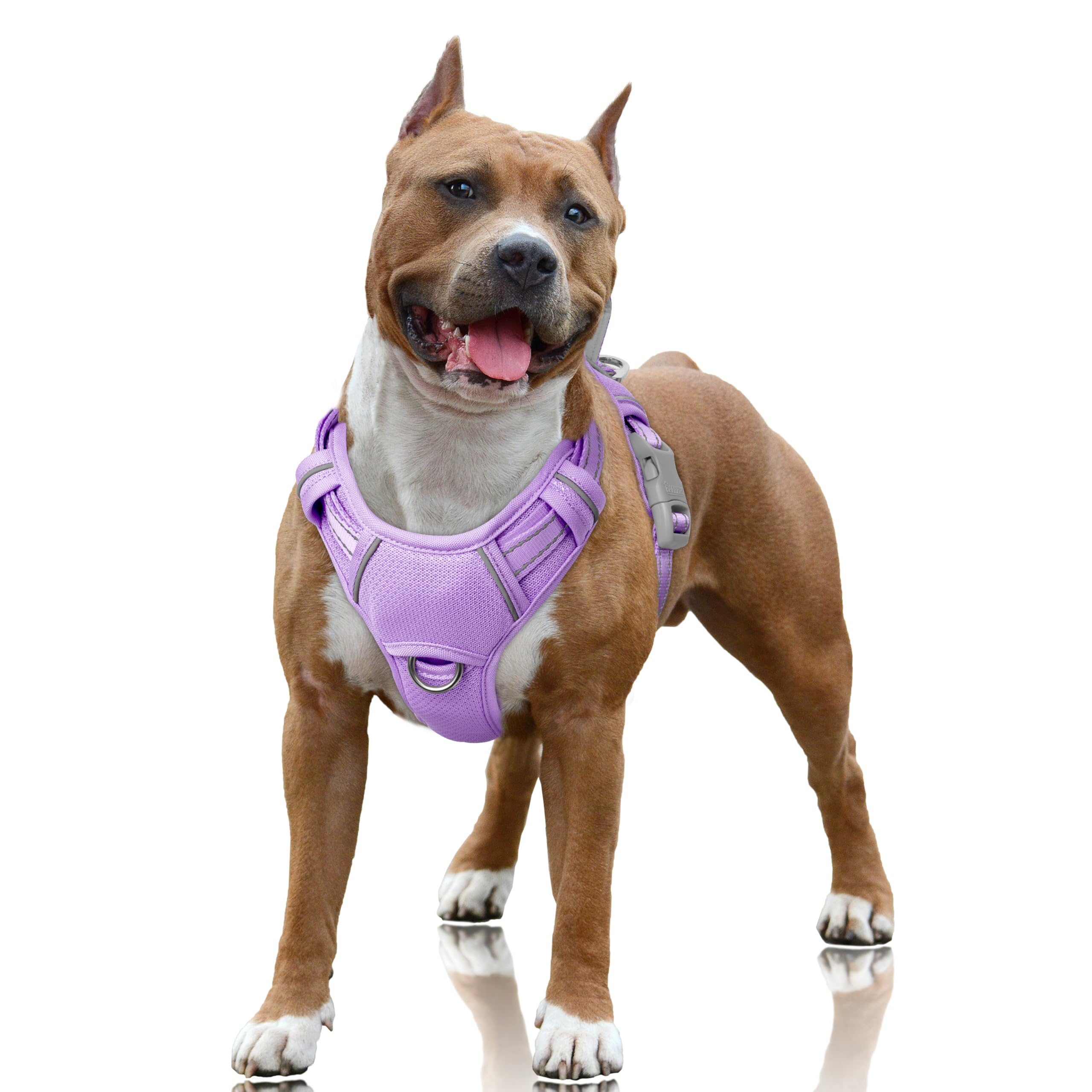 BARKBAY harnais face avant montrant design ergonomique et confort