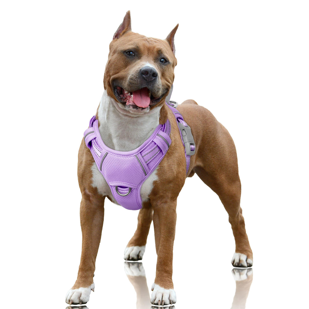 BARKBAY harnais face avant montrant design ergonomique et confort