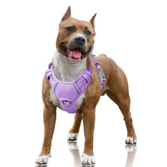 BARKBAY harnais face avant montrant design ergonomique et confort