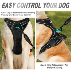 BARKBAY harnais vue arrière avec clip dorsal pour contrôle fiable