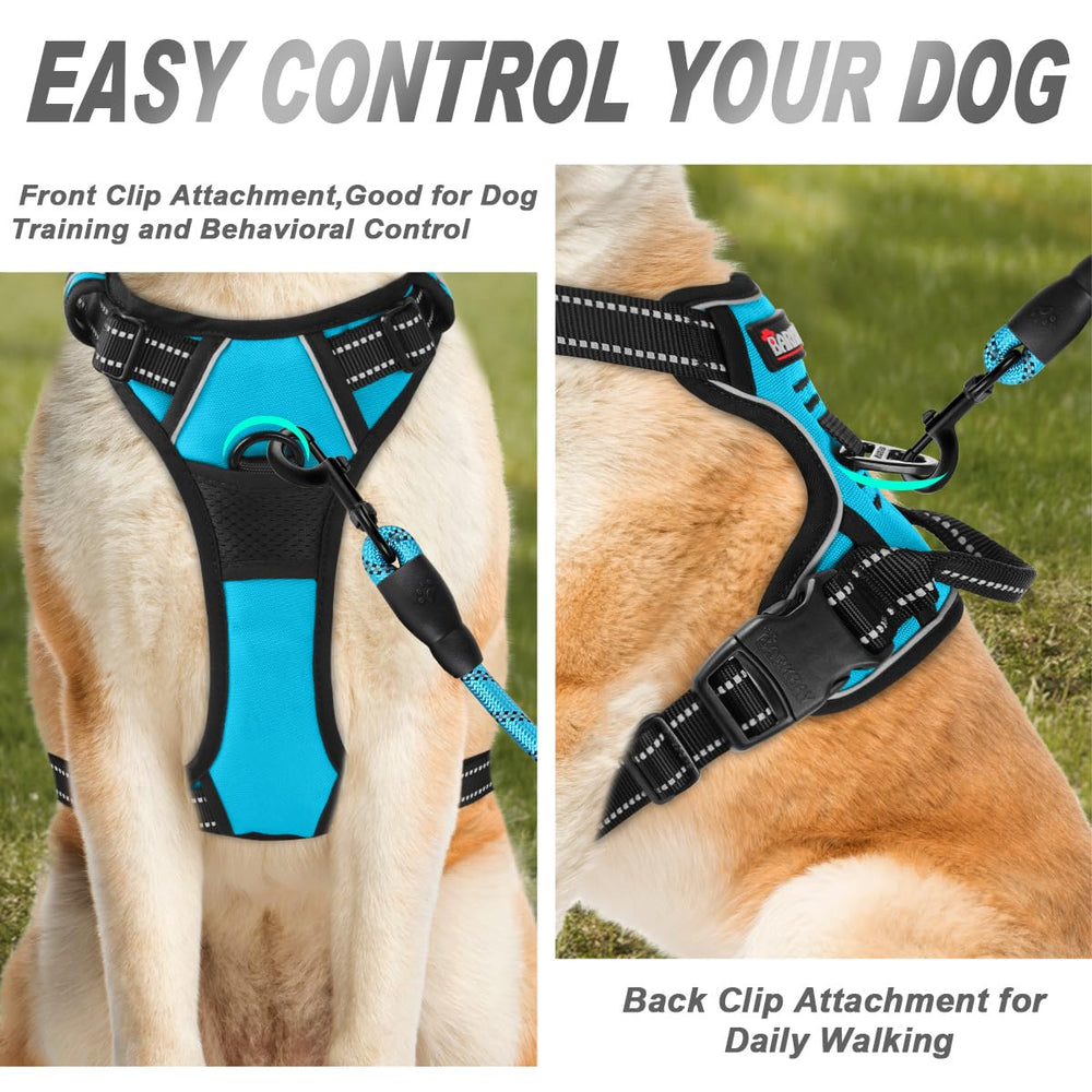 BARKBAY harnais vue dos avec clip métallique pour sécurité