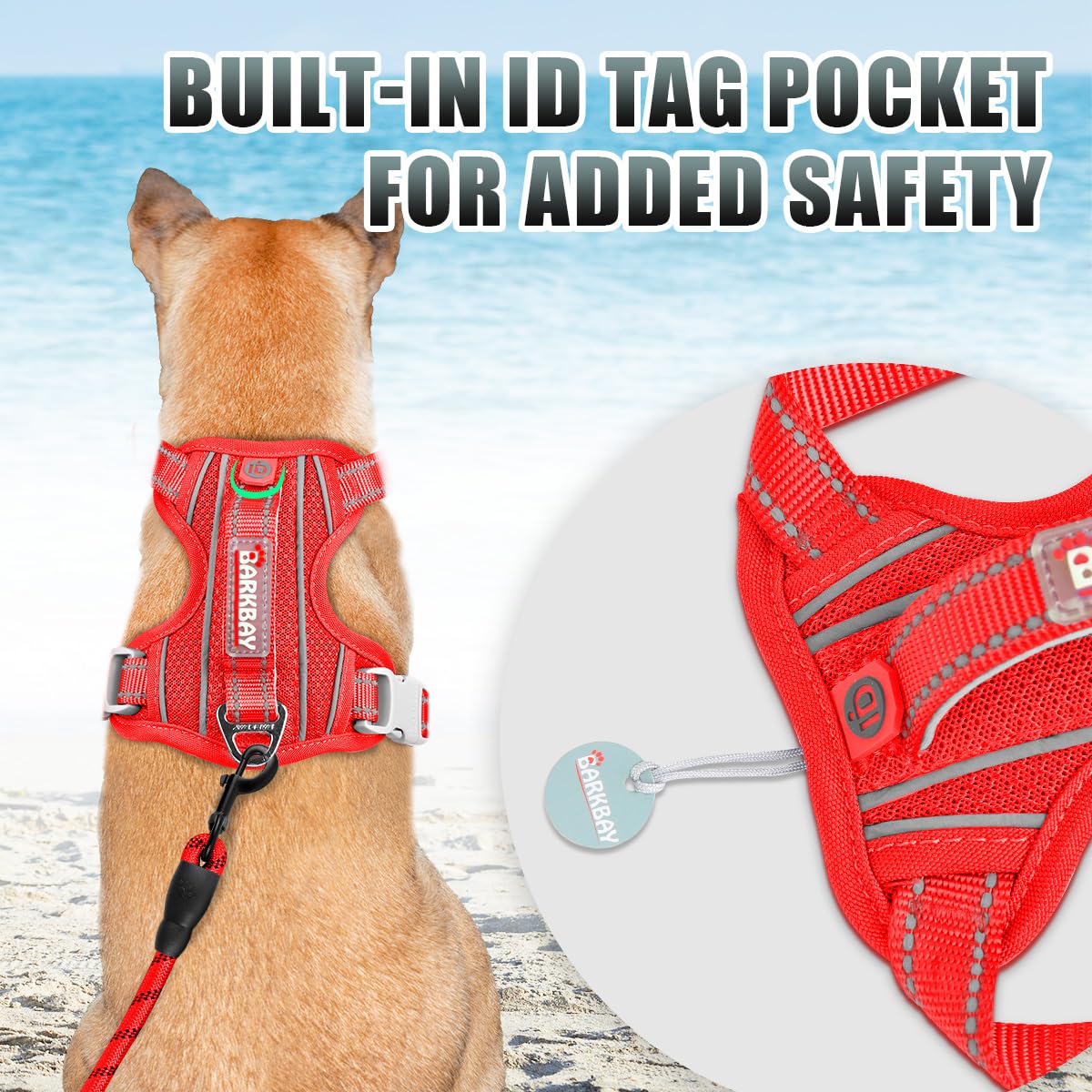 BARKBAY vue arrière avec d-ring pour promenade détendue