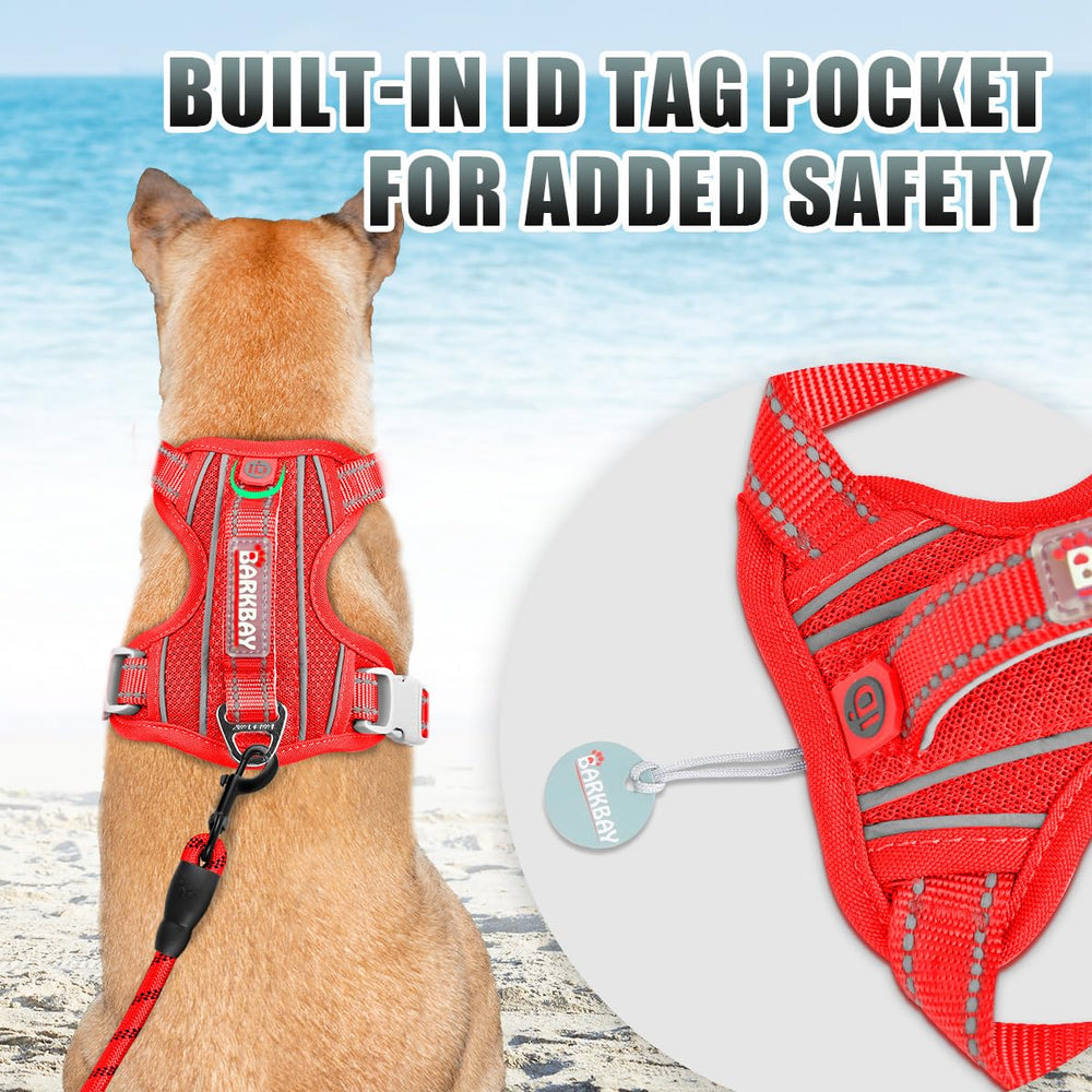 BARKBAY vue arrière avec d-ring pour promenade détendue