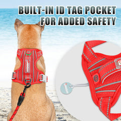 BARKBAY vue arrière avec d-ring pour promenade détendue