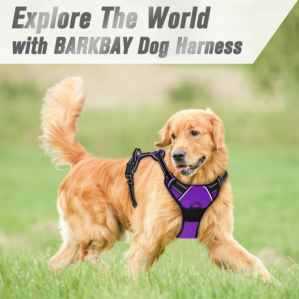 BARKBAY matière et rembourrage en gros plan pour confort contre la peau