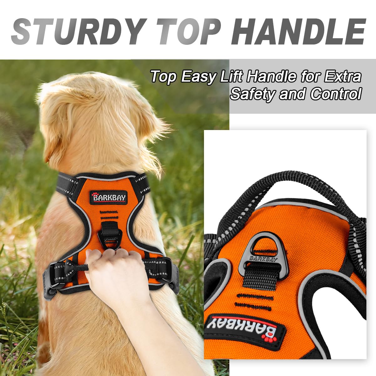 BARKBAY zoom sur sangle réglable illustrant ajustement précis