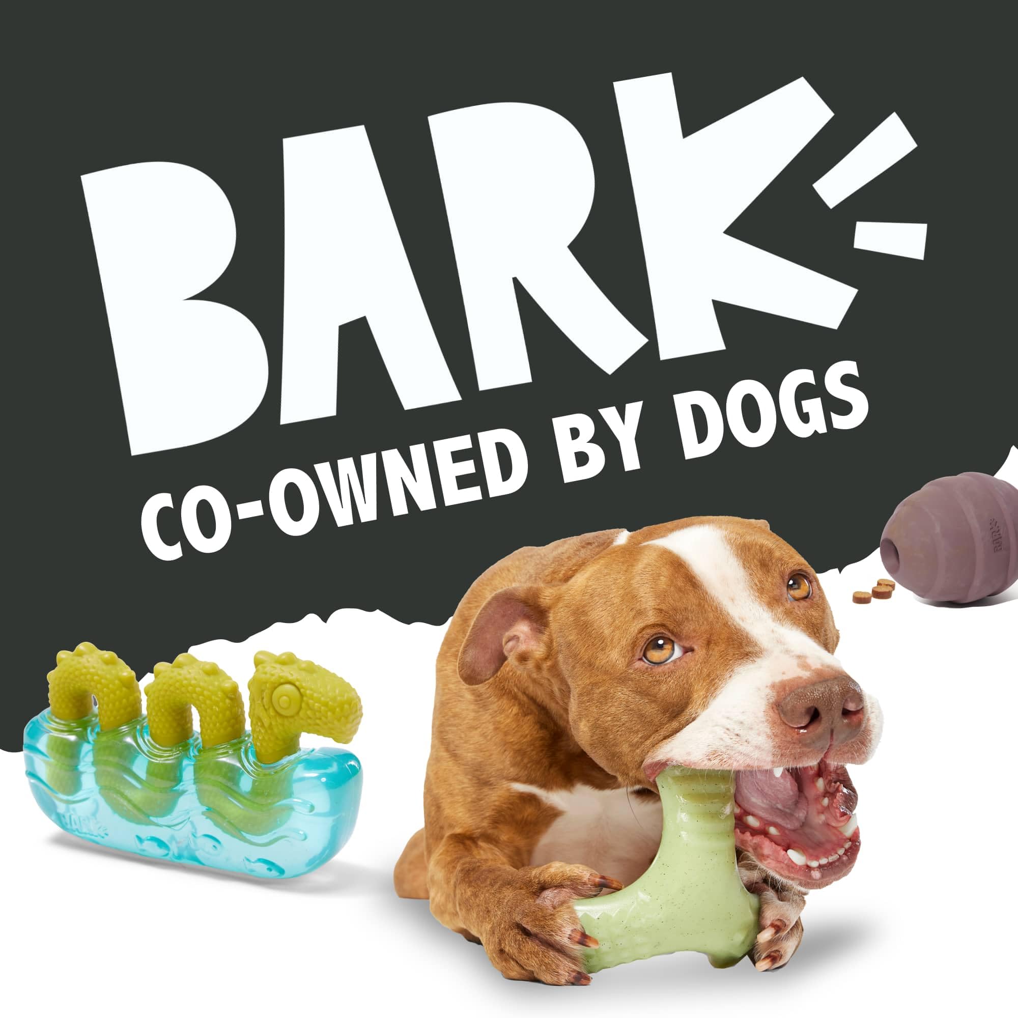 BarkBox emballage et étiquette affichant instructions et matériaux