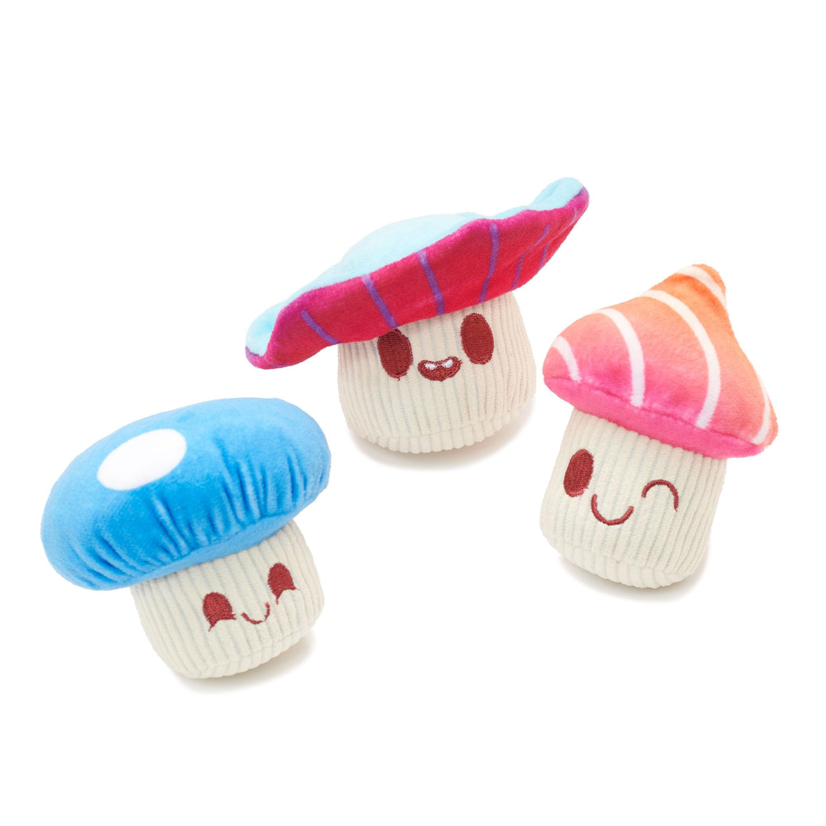 BarkBox emballage avant du trio champignons montrant contenu et taille