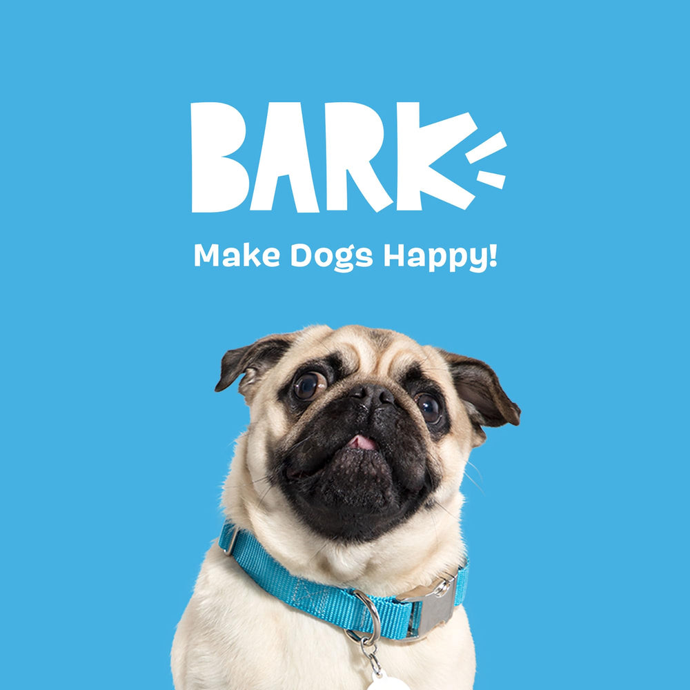 BarkBox champignons posés dans un salon suggérant usage quotidien et partage