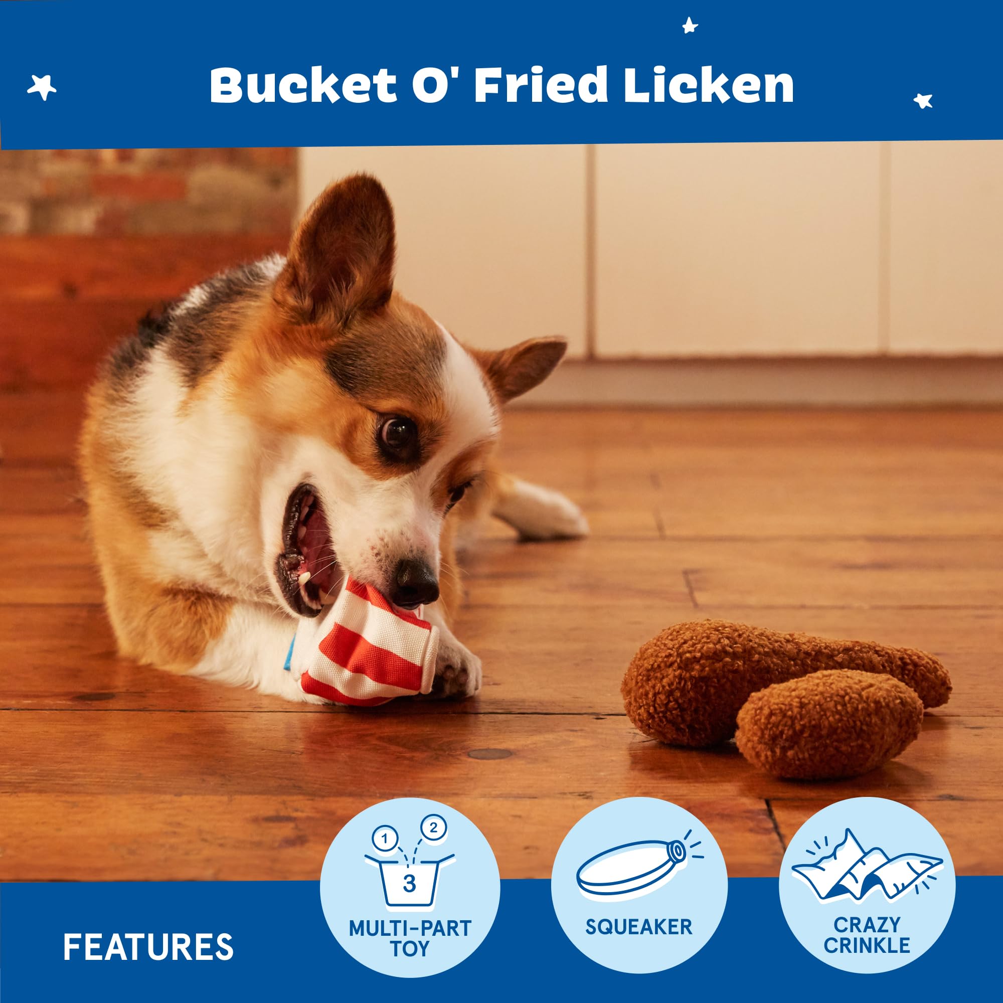 BarkBox chien jouant avec le Bucket O' Fried Licken bénéfice activité physique