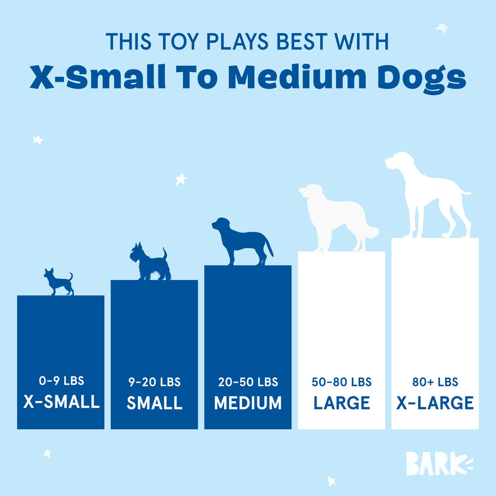 BarkBox seau rempli de friandises pour jeu de recherche bénéfice stimulation mentale