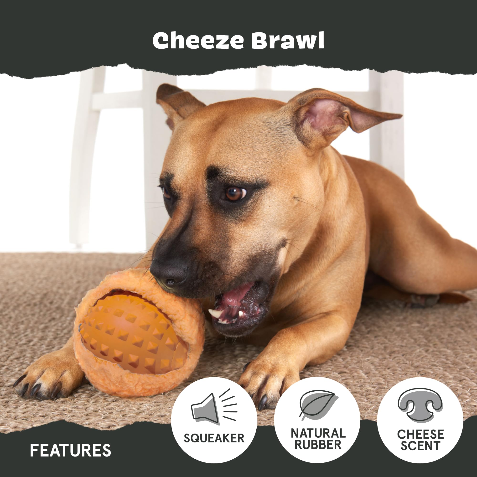 BarkBox jouet en usage avec chien actif, favorise activité physique