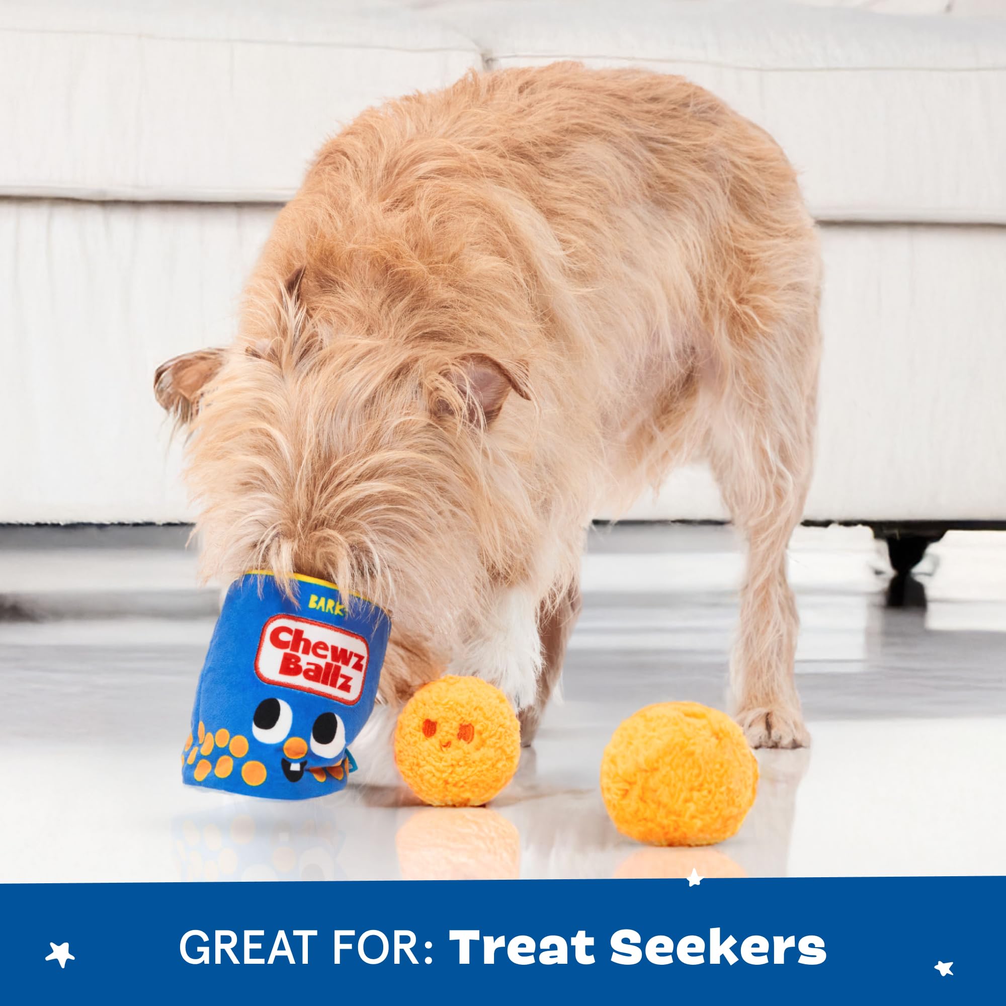 Chien tenant BarkBox Chewz Ballz, jouet adapté à la prise en gueule