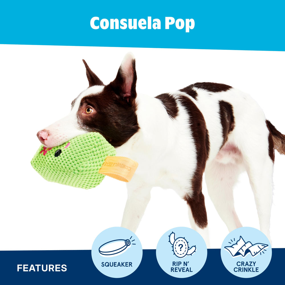 BarkBox Consuela the Cactus Pop sifflet gros plan attirant l’attention et renforçant le rappel