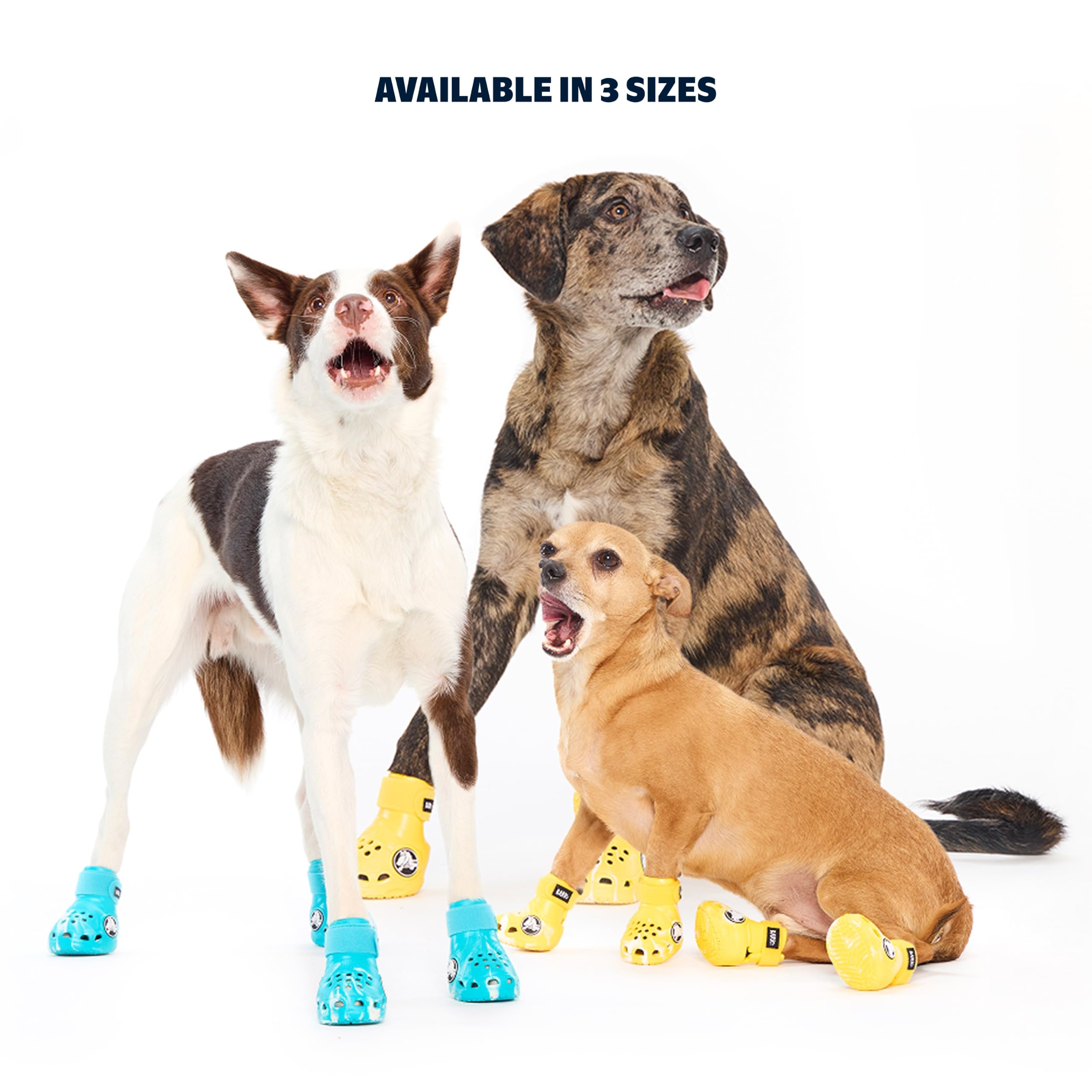 BarkBox comparaison taille avec main pour évaluer ajustement et dimensions