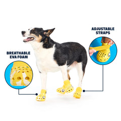 BarkBox bride ajustable garantissant un maintien sûr et confortable
