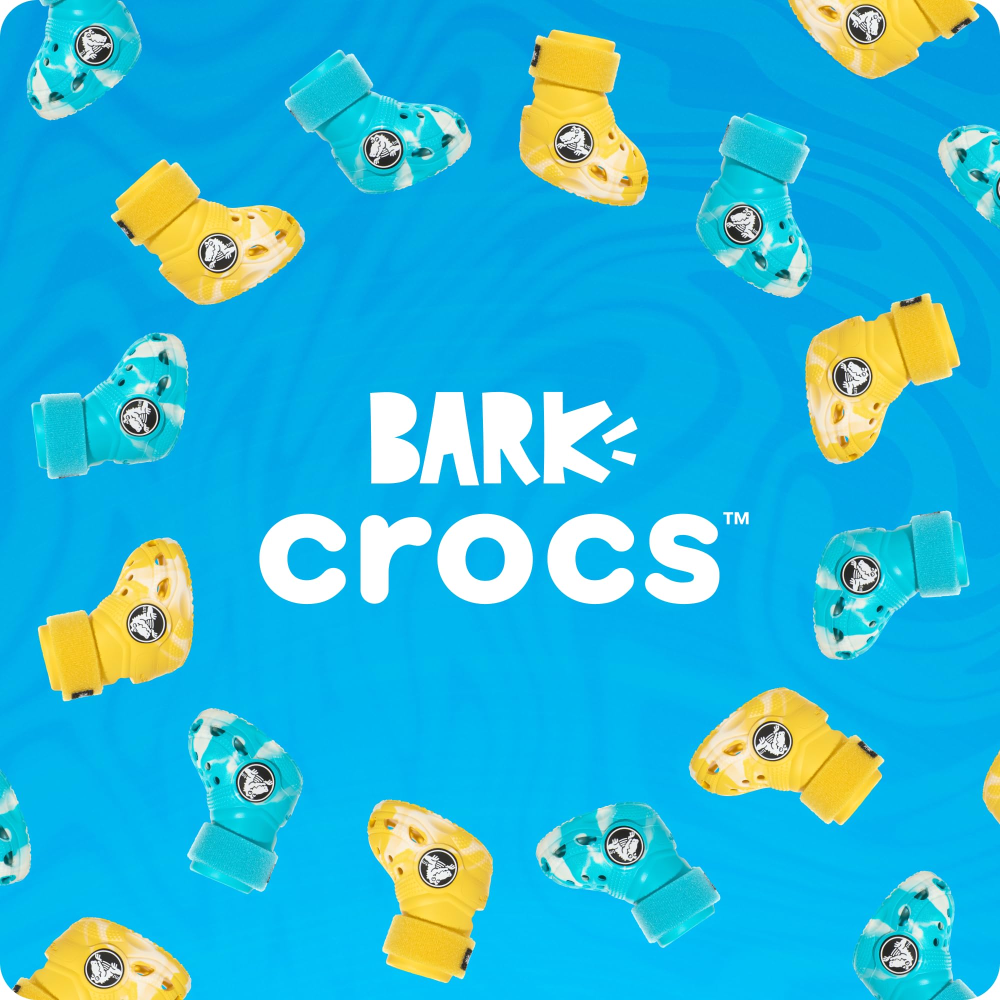 BarkBox chaussures brillantes la nuit pour meilleure visibilité et style
