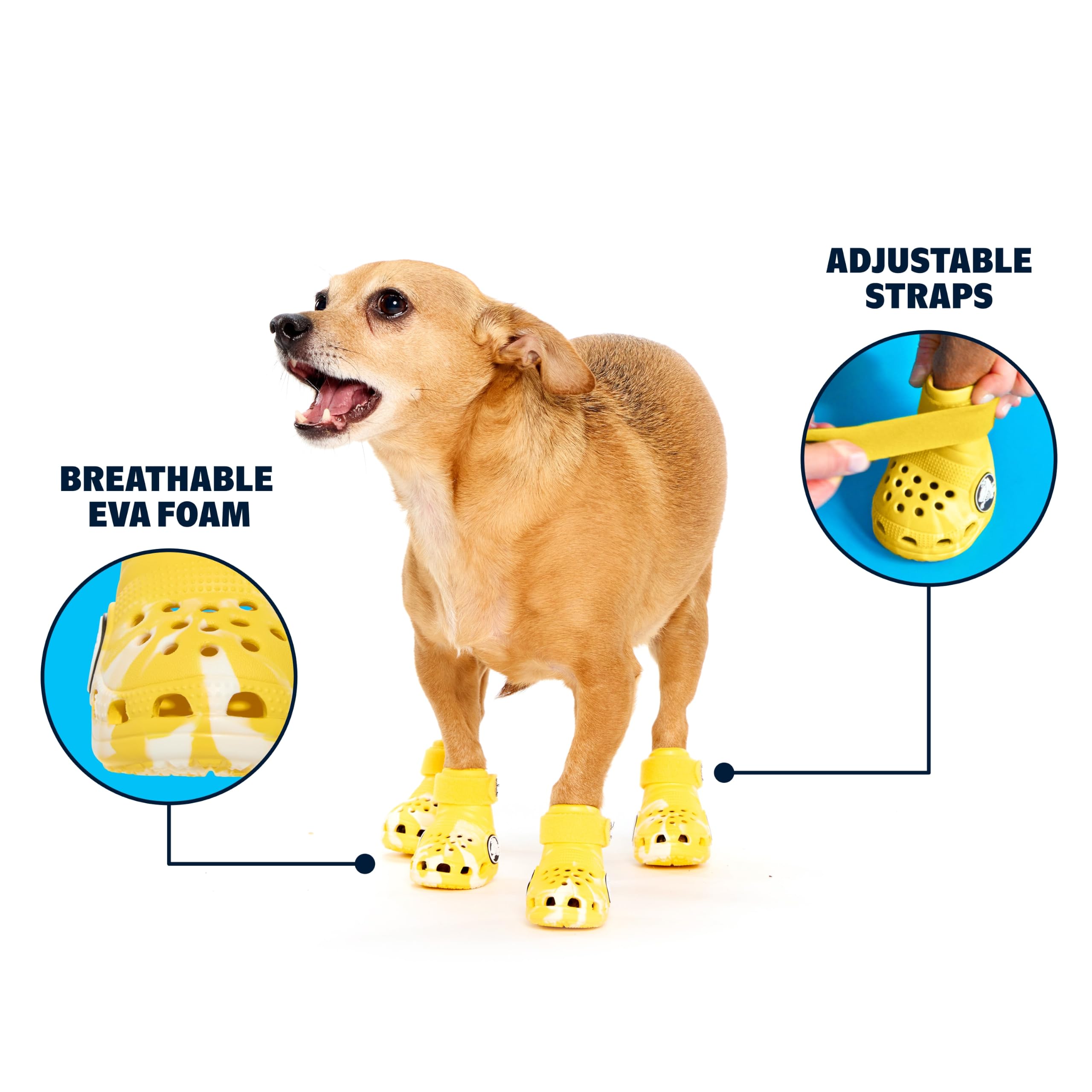 BarkBox semelle crantée offrant adhérence et sécurité sur trottoir