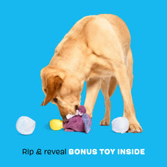 BarkBox Drongo Platypus jouets cachés sortis montrant la fonction rip and reveal
