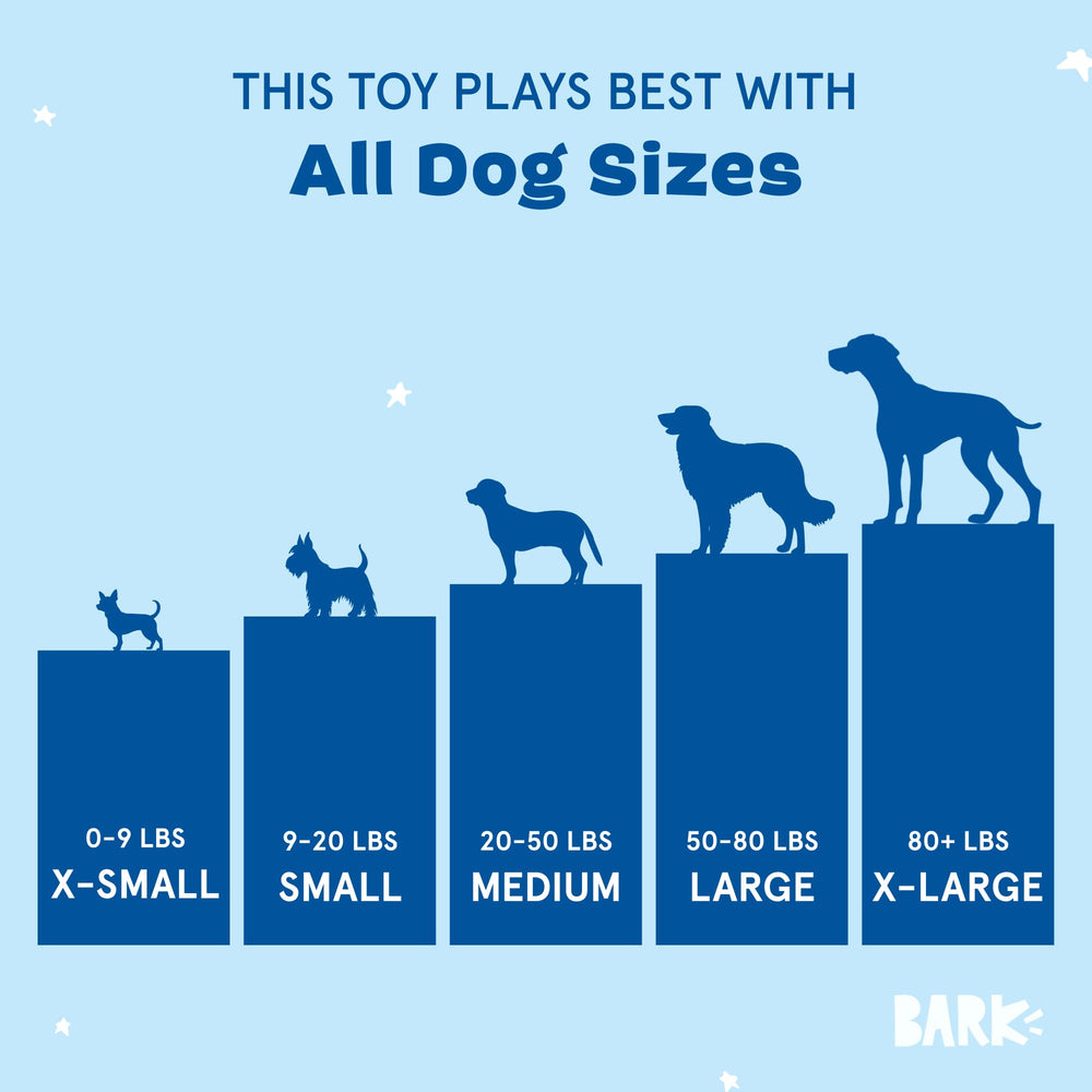 BarkBox comparaison d'échelle avec main montrant taille adaptée chiens moyens