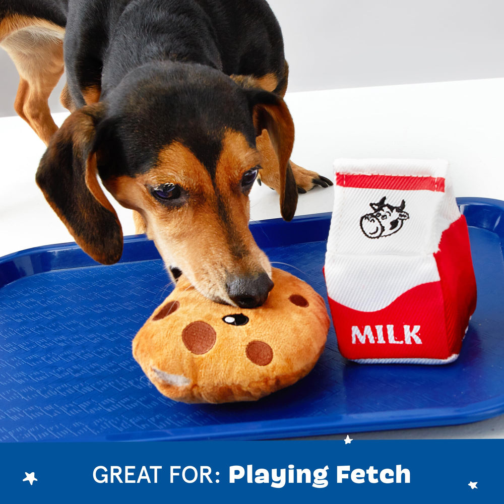 BarkBox duo jouets peluche présenté pour visibilité du contenu