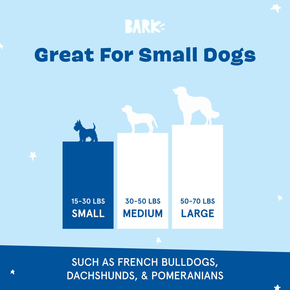 BARKBOX détail de la fermeture accroche assurant maintien