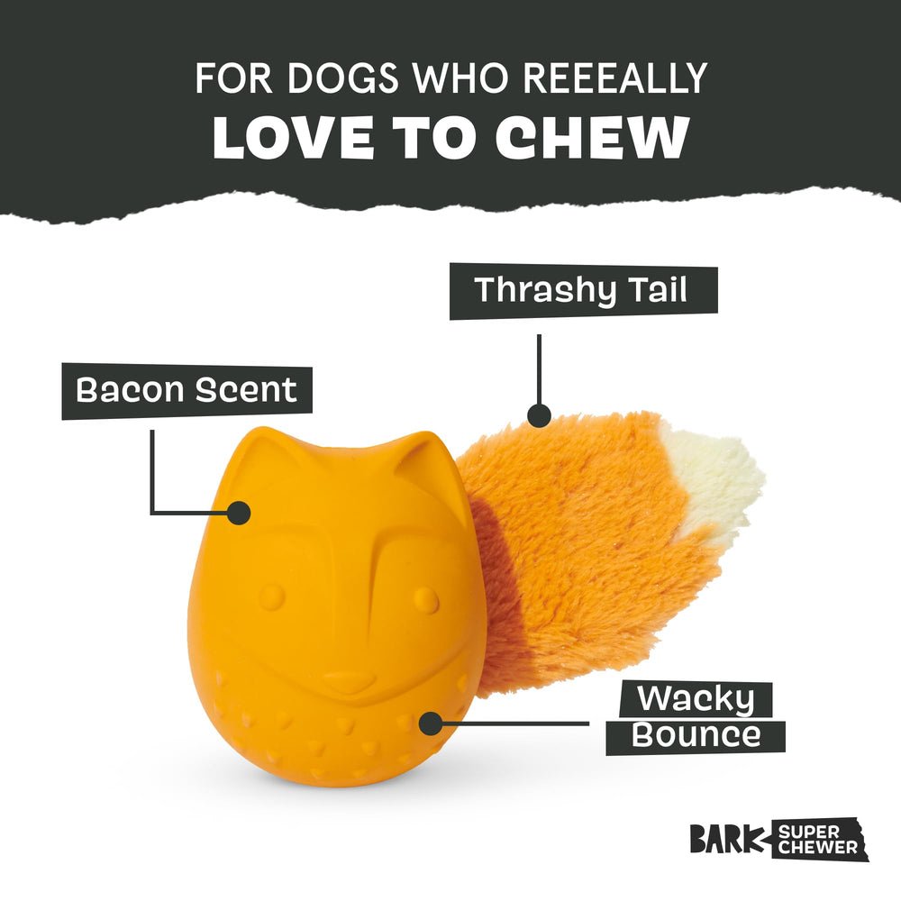 BarkBox Franz the Fox gros plan du caoutchouc naturel durable pour mastication