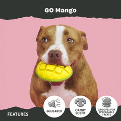 BarkBox jouet lancé en plein air pour fetch stimulant et exercice actif
