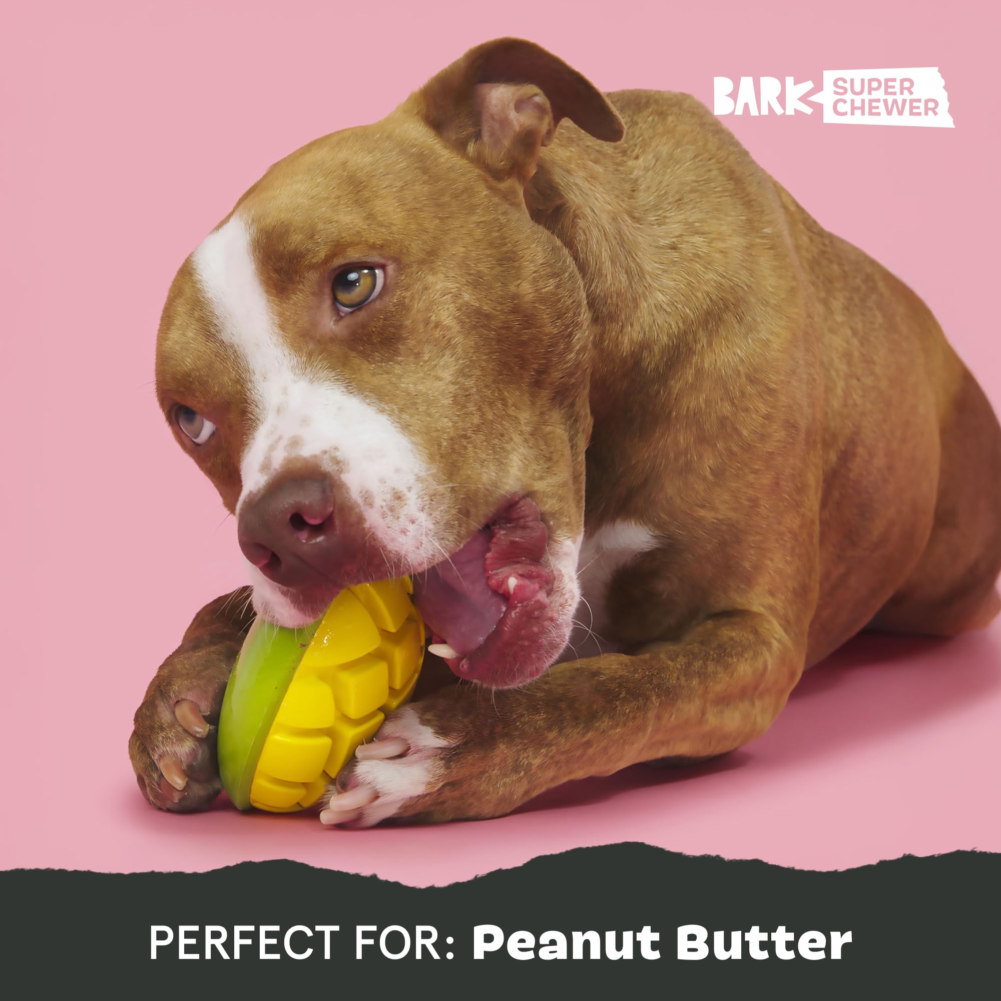 BarkBox rainures garnies de beurre de cacahuète pour mastication prolongée