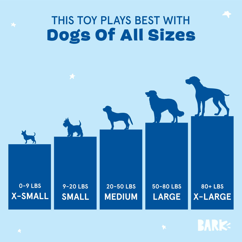 Comparaison d’échelle BarkBox Hairy Henderson à côté d’un chien, taille visible