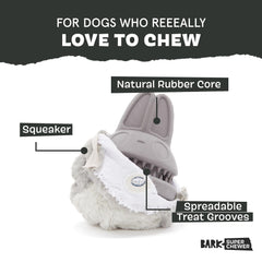 BarkBox gros plan du caoutchouc texturé pour une mastication durable
