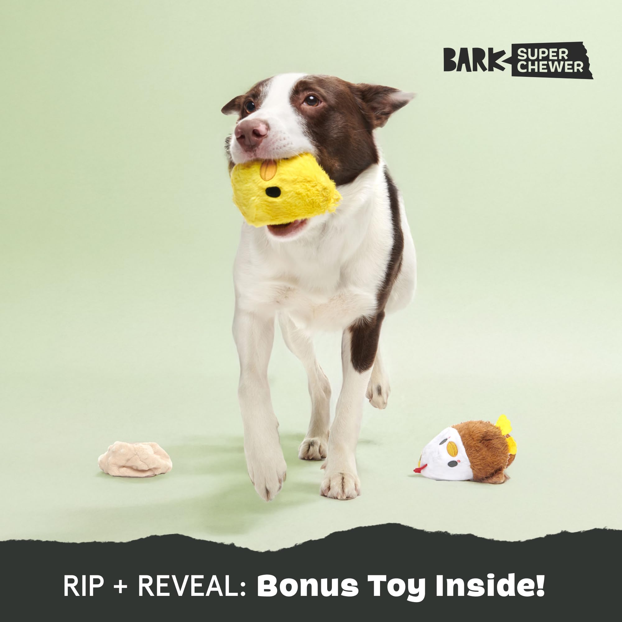 BarkBox petit oiseau intérieur, texture attrayante favorisant la mastication légère