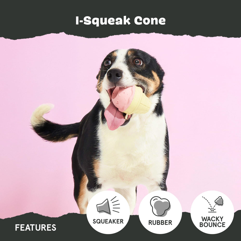 BarkBox rainures garnies de beurre de cacahuète pour jeu gourmand prolongé