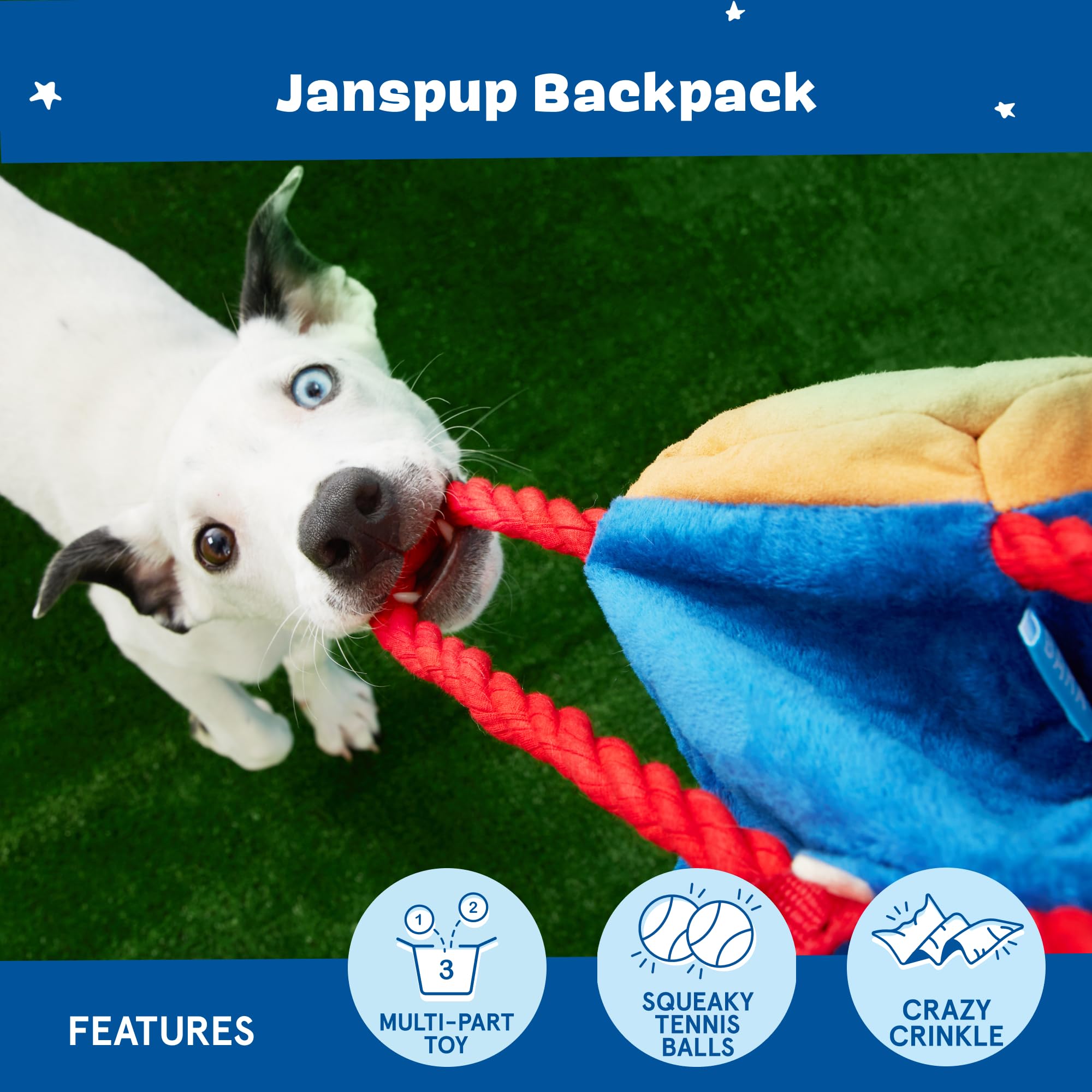 BarkBox Janspup Backpack ouverture révélant deux balles BarkBox pour lancer