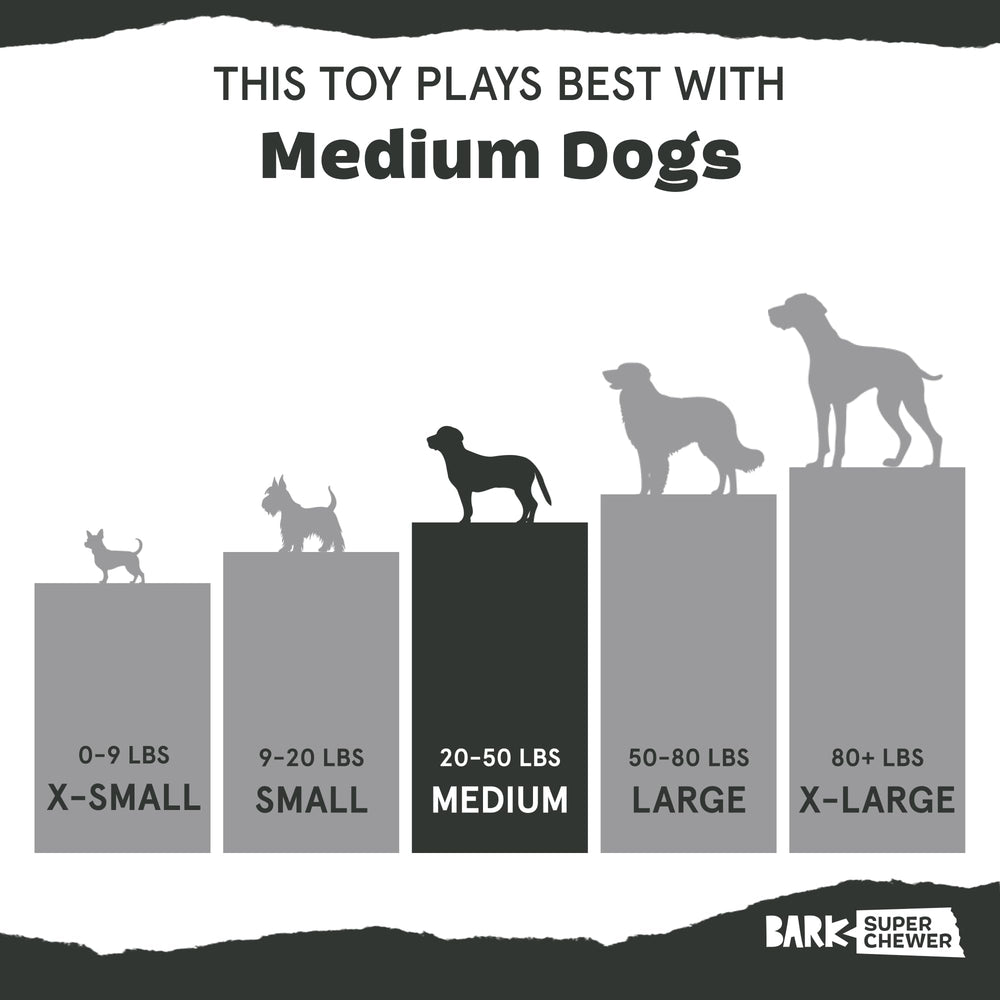 BarkBox comparaison d’échelle montrant taille adaptée aux chiens moyens