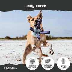 BarkBox chien en action lançant Jelly Fetch pour activité et cardio