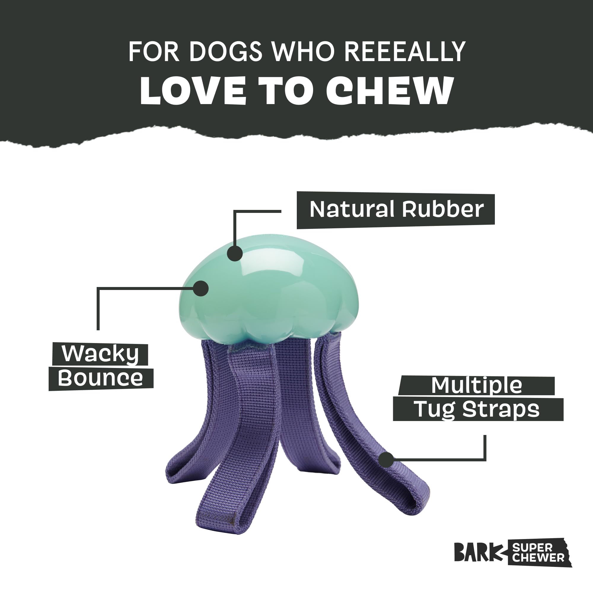 BarkBox gros plan caoutchouc résistant pour mastication prolongée