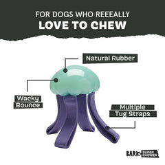BarkBox gros plan caoutchouc résistant pour mastication prolongée